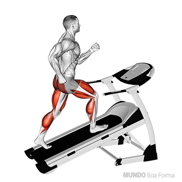 Esteira Caminhada Rápida